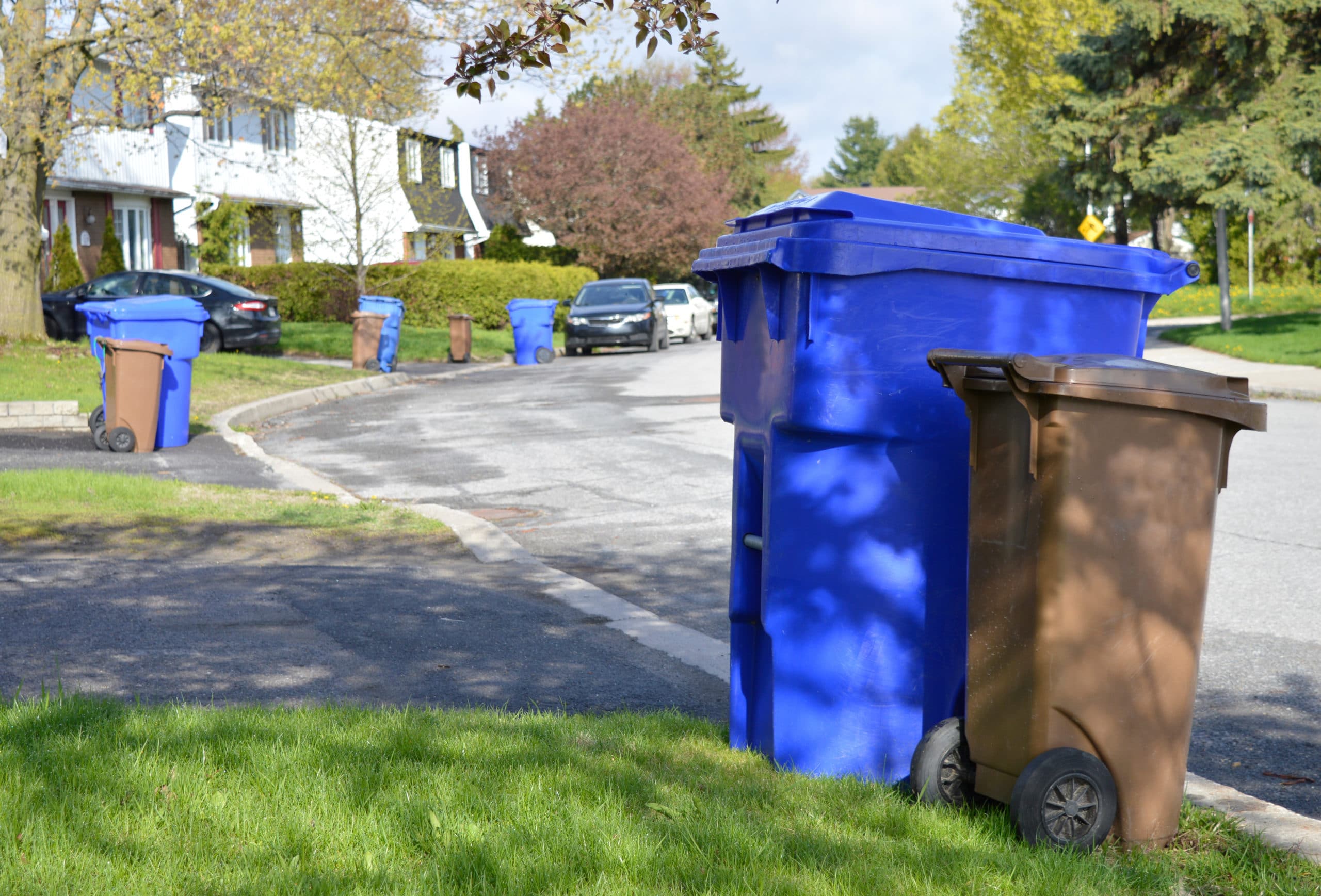Recycle bins and compost bins line a street awaiting collection from the city